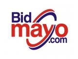 Mayo Auction and Realty