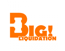 Big Liquidation LLC